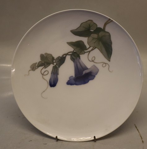 790-1122 RC Decorative plate 23 cm with blue Calystegia pre 1923 Painter 87 Royal Copenhagen