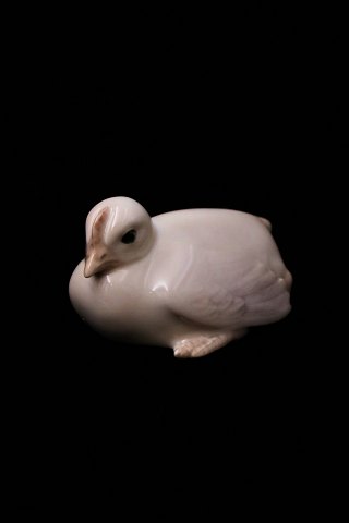 Royal Copenhagen porcelæns figur af lille kylling.RC# 266.Før 1923...