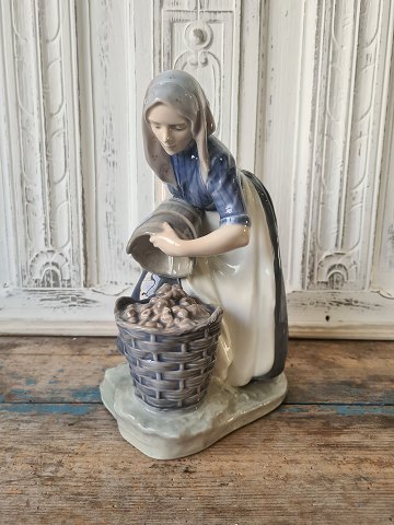Royal Copenhagen figur - Bondepige der samler kartofler no. 1549