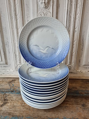 B&G Seagull without gold rim Hotel porcelain dinner plate no. 716 - 1009