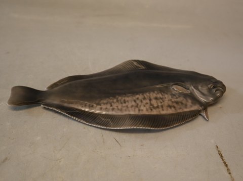 1509 Kgl. Tunge 8 x 17 cm fladfisk Peter Herold 1913 Kongelig Dansk 