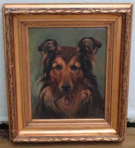 Dog Painting: Border Collie Signed "BOB" Simon Simonsen 1910  26 Oild on canvas 49 x 41 cm