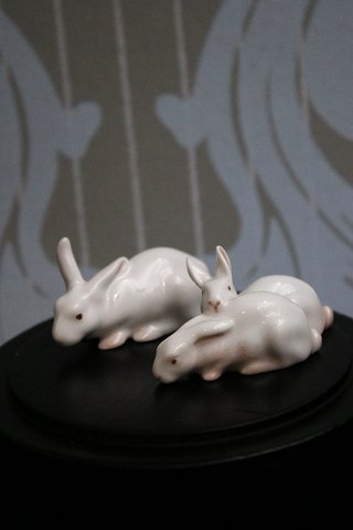 Bing & Grøndahl porcelæns figurere af små kaniner.B&G# 1874 & 1875-SOLGT !
