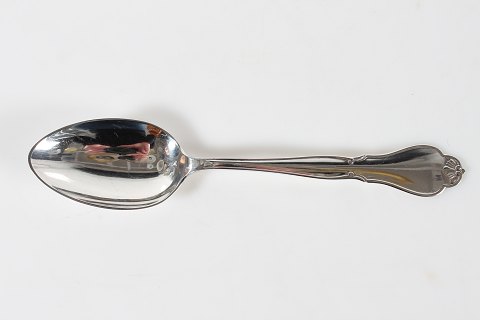 Ambrosius S�lvbestik