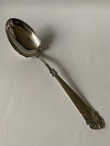 Håkon Silver