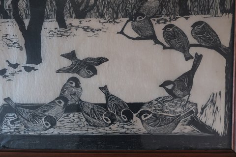 Ældre fuglebilledeLivlige fugke, synger og finder frø, - lige til at blive glad af49cm x 44cmIndrammet