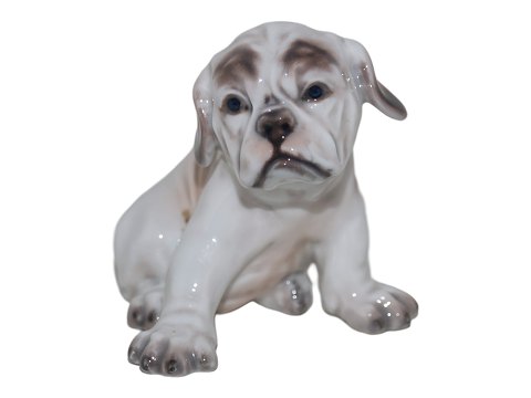 Dahl Jensen figurineEnglish Bulldog puppy