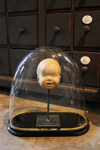 Decorative, old oval French glass Dome / Globe on a black wooden base for exhibition. H:43,5cm...