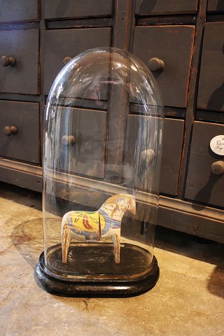 Dekorativ , gammel oval fransk glas Dome / Globe på sort træ bund til udstilling. H:54,5cm.