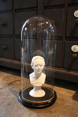 Dekorativ , gammel cylinderformet fransk glas Dome / Globe på sort træ bund til udstilling...H: 55cm.
