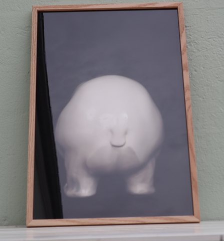 Lars Dyrendom: No #2 Polar Bear  Photo including glass and wooden frame 62.5 x 42.5 cm  4753