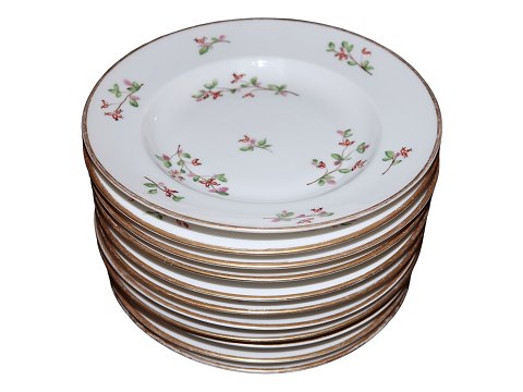 item no: 582848