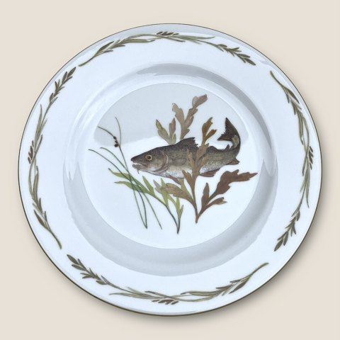 item no: 583512