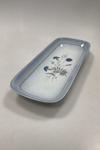 Bing og Grøndahl Demeter / Blå Kornblomst Aflangt fad No 205