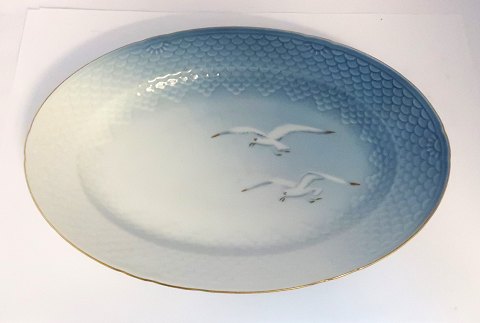 Bing & Grøndahl. Måge stel med guld. Ovalt fad. Model 16. Længde 33 cm. Bredde 23 cm. (1 sortering)