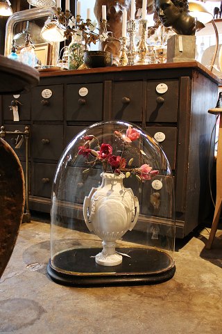 Gigantisk , stor antik fransk mundblæst oval glas globe / glaskuppel H: 65cm. B: 57cm...