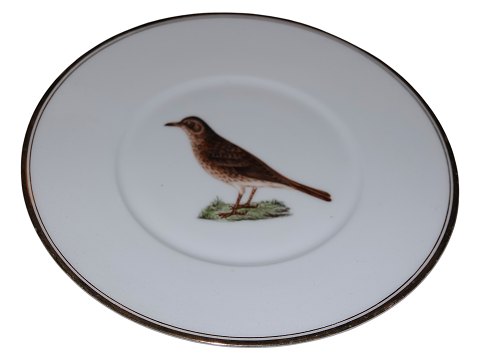item no: 602164