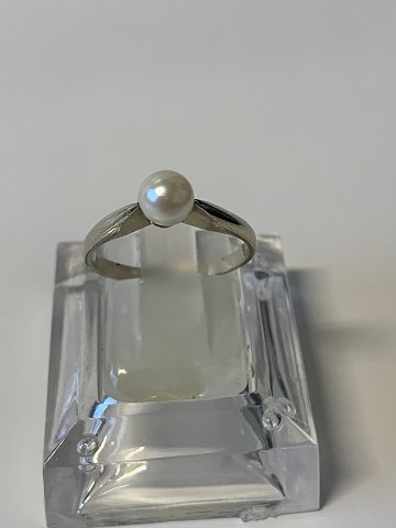 item no: 602539