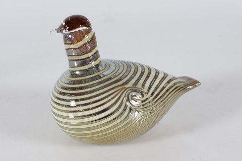 item no: 606522
