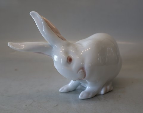 0378 RC White Rabbit Scratching 13 x 19 cm Design Erik Nielsen 1902 EN pre 1923 Royal Copenhagen