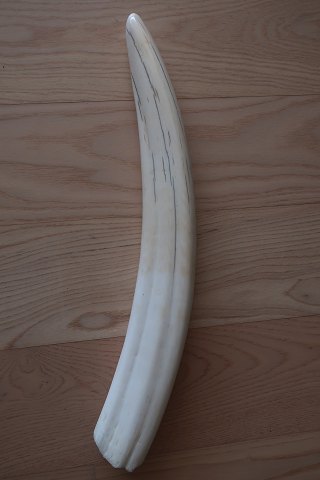 item no: 609200