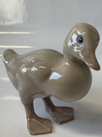 item no: 610095
