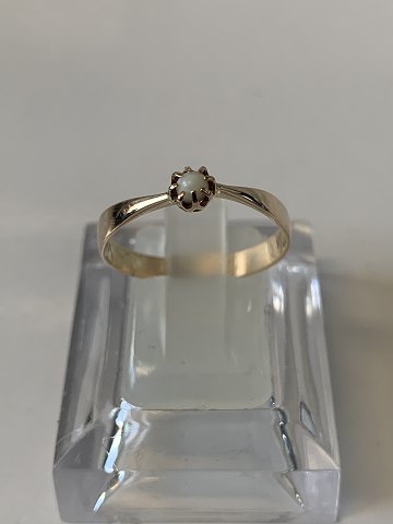 item no: 610794