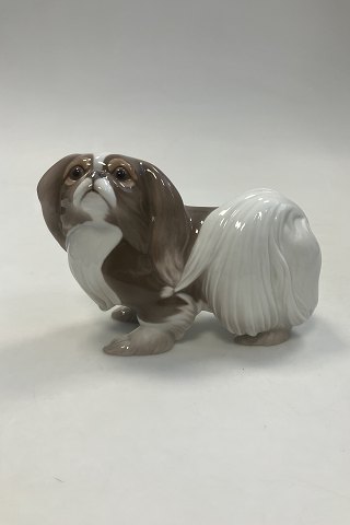Bing og Grøndahl Figur Japanese Chin hund / Pekingneser No. 2114
