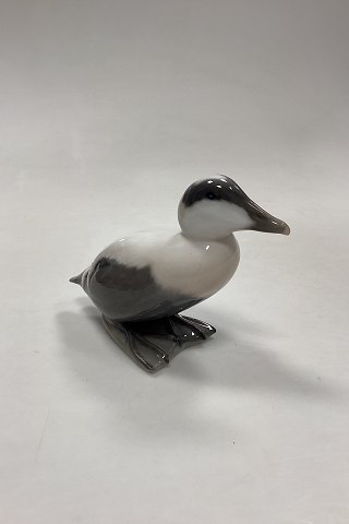 Royal Copenhagen Figur af Edderfugl No. 1071