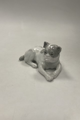 Tysk Bulldog Porcelænsfigur;
