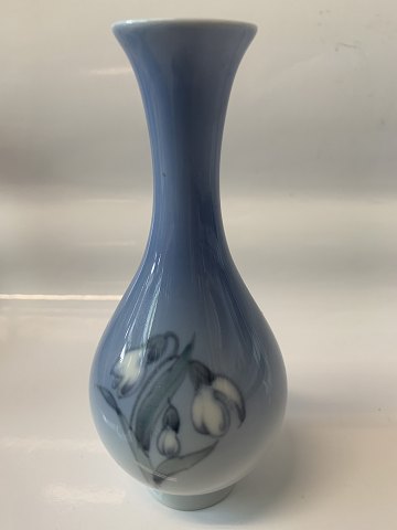 item no: 615902