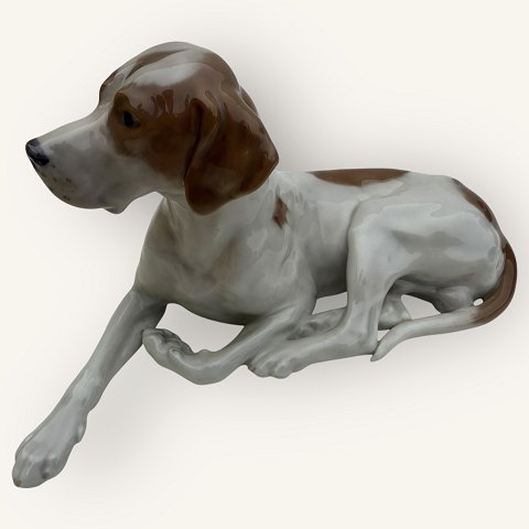 item no: 619485