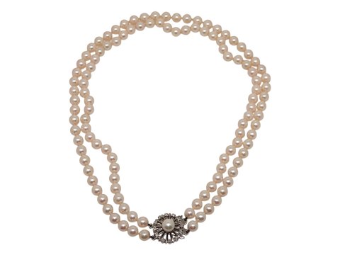 item no: 622556