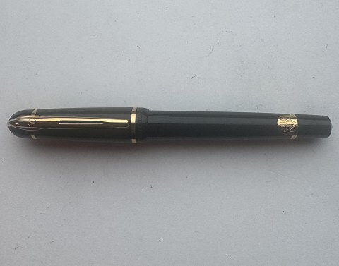 Modern Waterman fountain pen