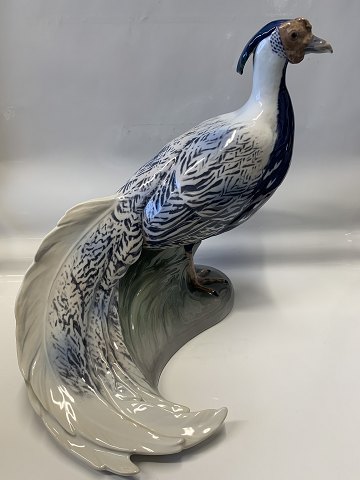 item no: 625996