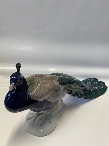 item no: 626007
