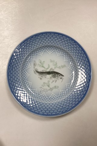 Bing og Grøndahl Blå Tone Fisketallerken Motiv 6 Torsk No. 716 - SKÅRET/SLIDT