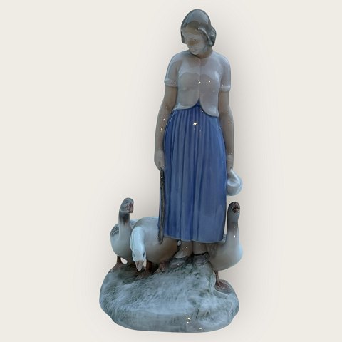 vare nr: 627905