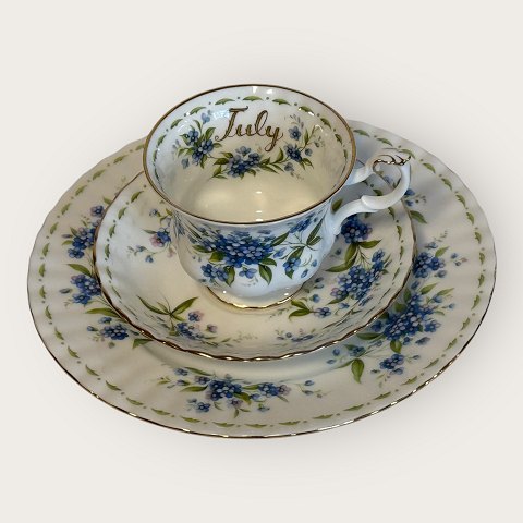 item no: 631174