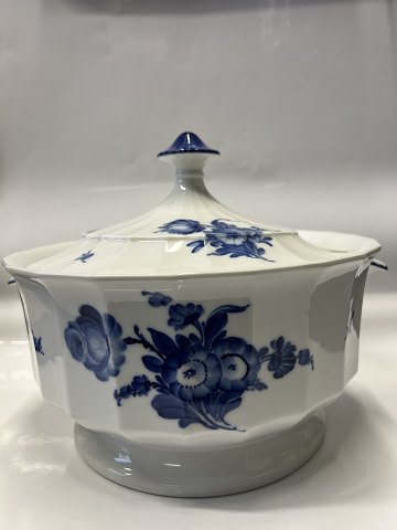 Blue Flower Angular - ...