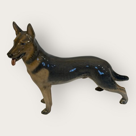item no: 631789