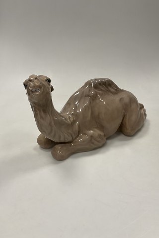 Royal Copenhagen Figur Kamel No 826