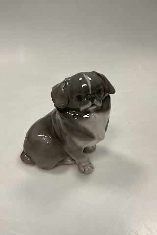 Royal Copenhagen Figur Pekingeser hvalp No. 1860
