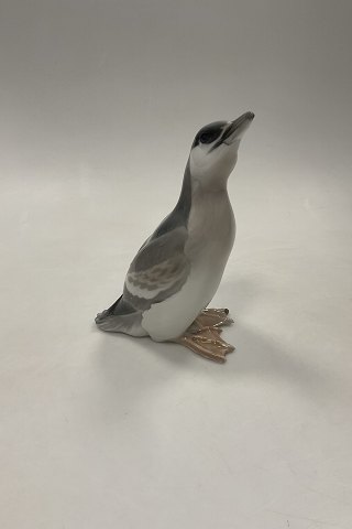 Bing og Grøndahl Figur Lomvie No. 1632