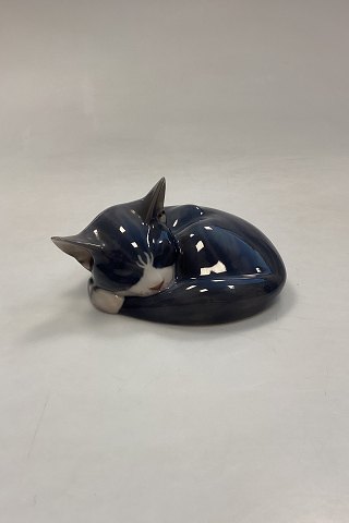 Royal Copenhagen figur Sovende kat No. 422