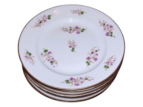 item no: 637585