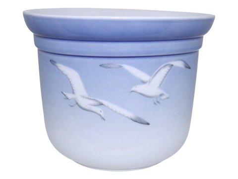 item no: 641200