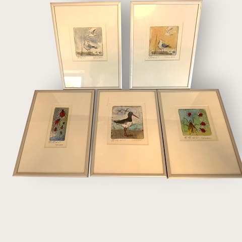 item no: 642525