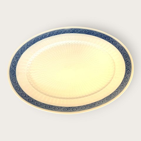 Royal C: Blue Fan / Blå Vifte