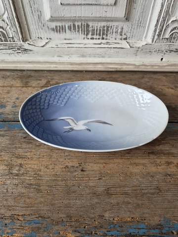 Porcelæn & Fajance
